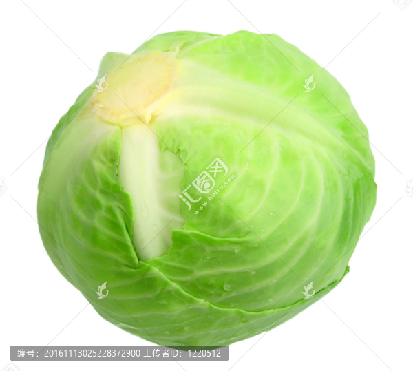 一個有露水的綠色白菜