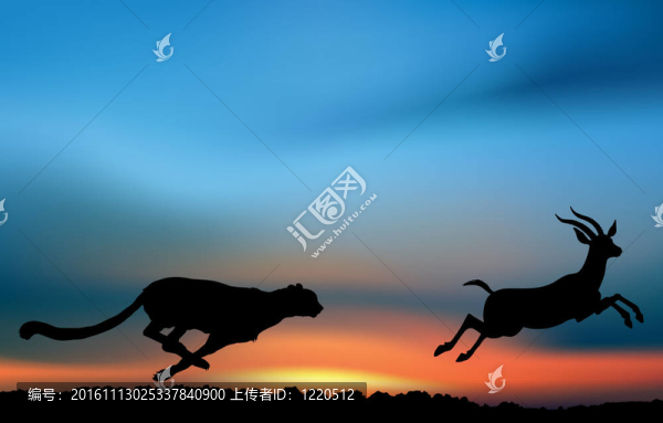獵豹正在獵殺羚羊