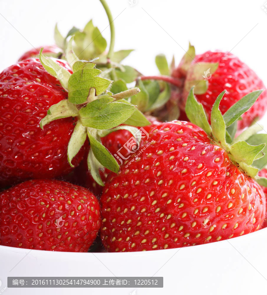 草莓-匯圖網(wǎng) www.fosd68.com 草莓