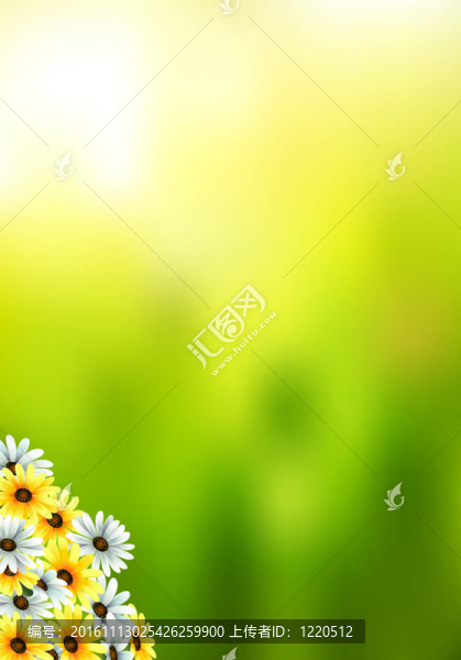 春天和夏天的花