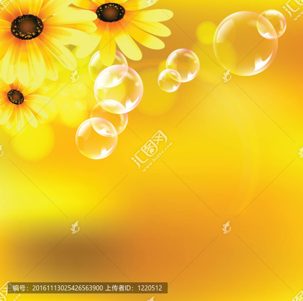 春天和夏天的花