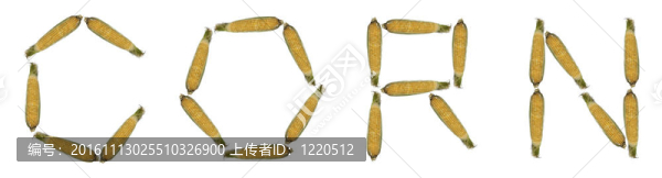 玉米；字母