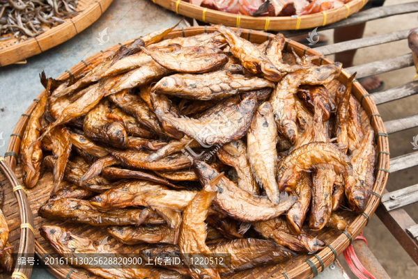 干鯰魚