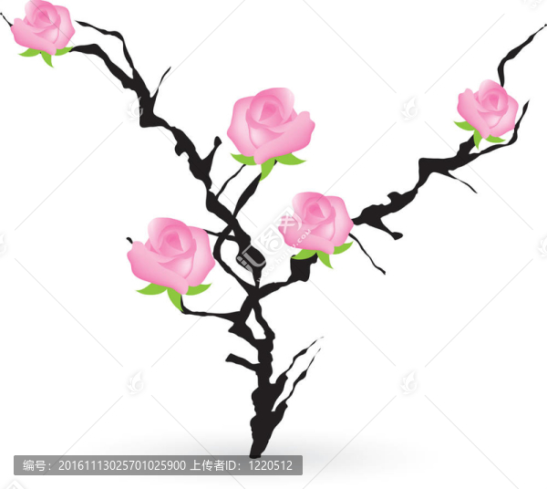 玫瑰黑刺布什