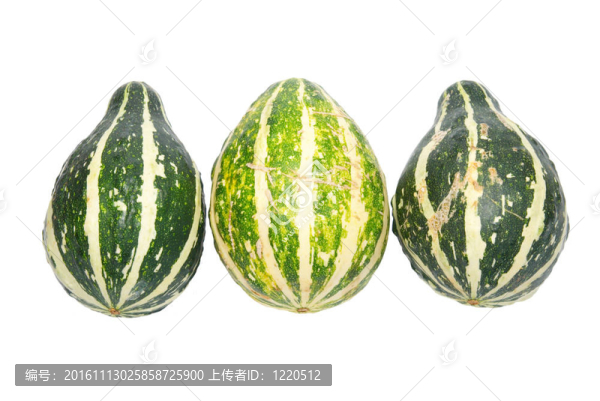三個(gè)白色的綠色南瓜。