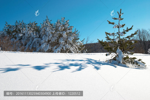 冬天；大雪和腳印。