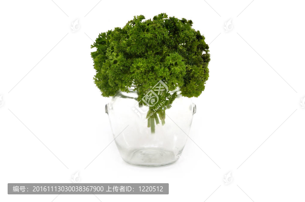 碎玻璃