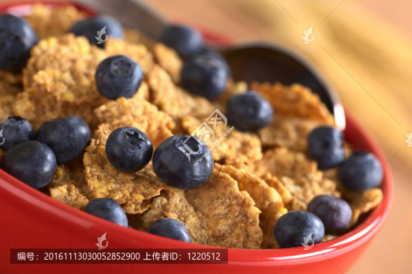 全麥麥片和新鮮的藍(lán)莓（選擇性聚焦；對(duì)藍(lán)莓三分之一入碗中重點(diǎn)）