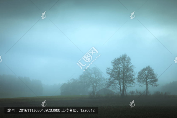 秋天的樹林