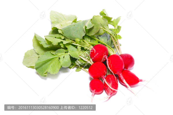 白蘿卜一束白蘿卜。