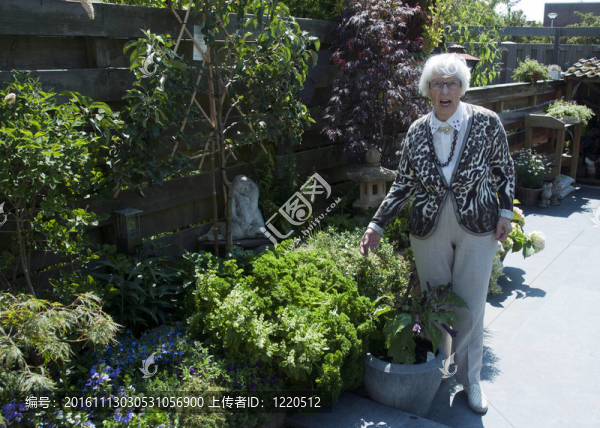 花園里的奶奶