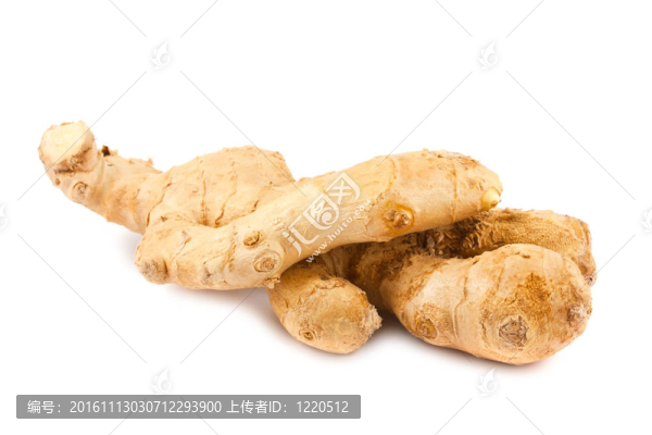 姜-匯圖網(wǎng) www.fosd68.com 姜