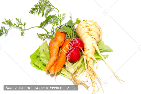 胡蘿卜；蘿卜和生菜防風(fēng)白色隔離。
