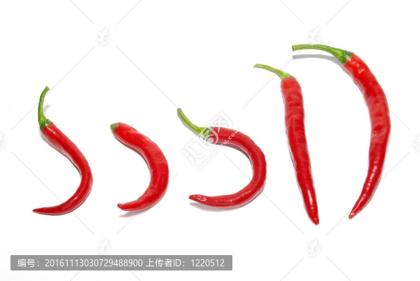 紅辣椒排
