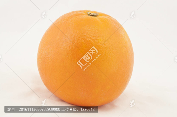 白色背景上的單橙色