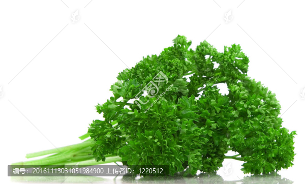 西芹