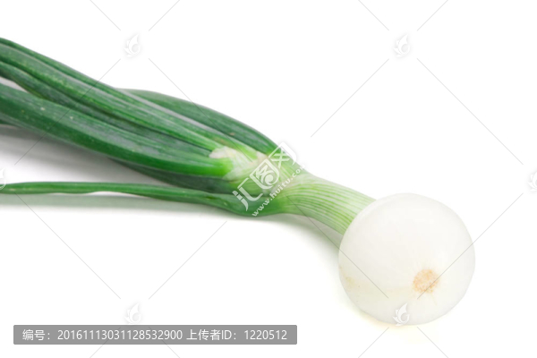蔥