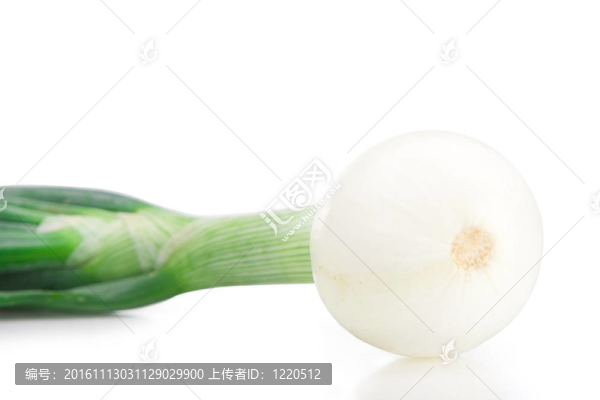 蔥