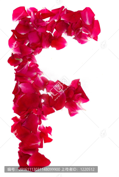 粉紅玫瑰花瓣形成字母F