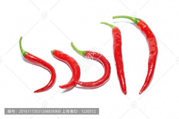 紅辣椒排