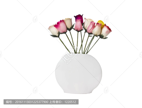 木玫瑰與White,Vase