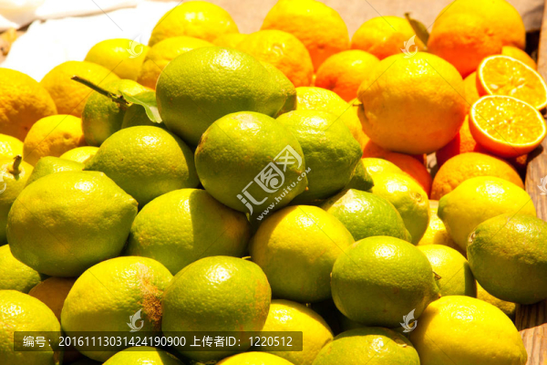 柑橘；檸檬和橘子