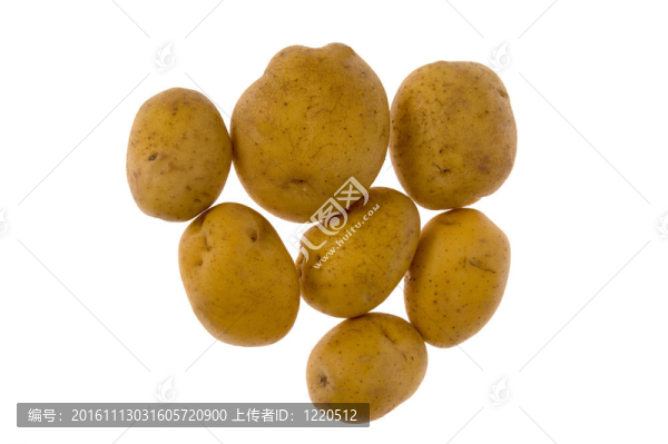 白色背景上分離的馬鈴薯