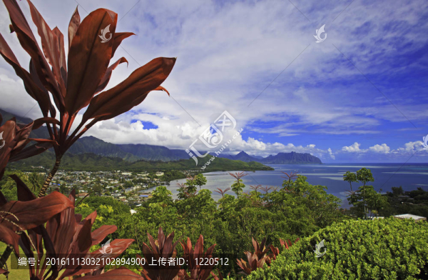 海灣島上的瓦胡島；夏威夷