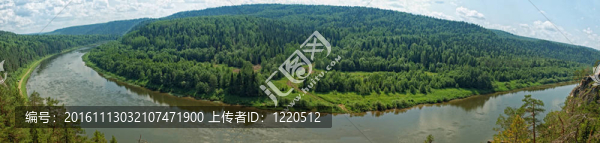 西伯利亞泰加林