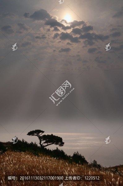 俄羅斯；濱海邊疆區(qū)；日落場(chǎng)景
