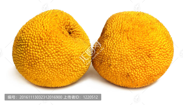 小菠蘿