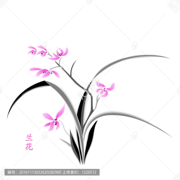 蘭花花