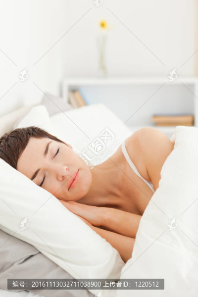 一個迷人的女人的肖像