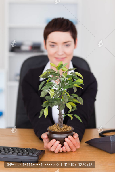 一個(gè)商人看植物的肖像