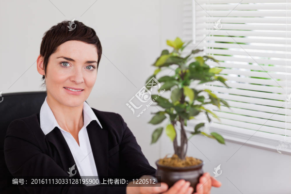秘書拿著一株植物