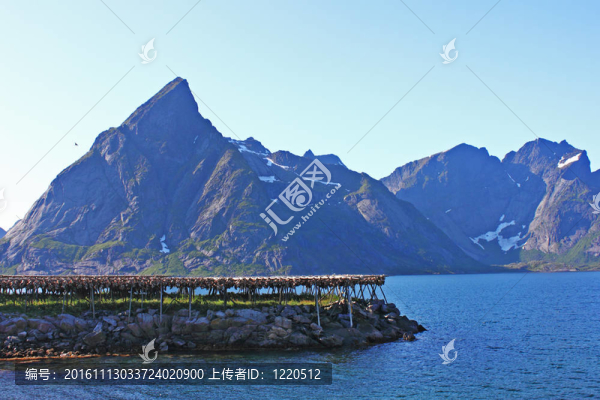 與海中的魚的干燥