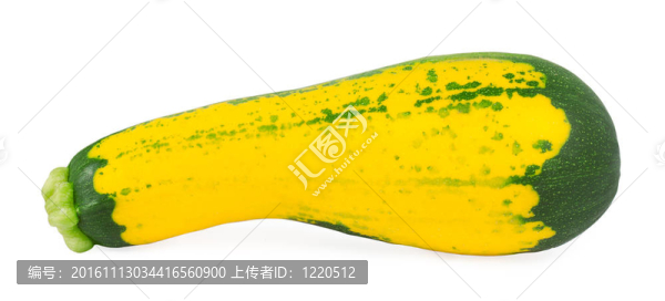 豐富多彩的南瓜