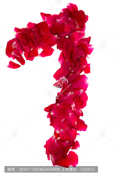 粉紅玫瑰花瓣形成數(shù)1