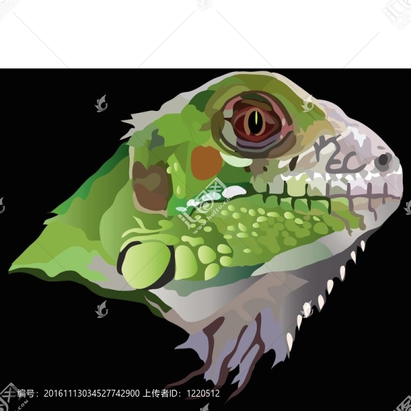 穿山甲