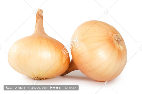 新鮮洋蔥