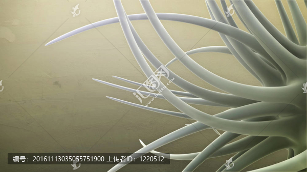 3d布朗未來
