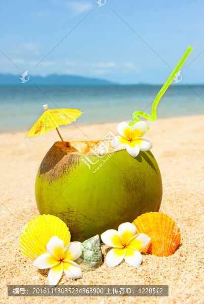 海洋沙灘棕櫚和雞尾酒