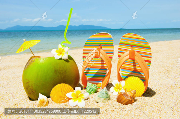 海洋沙灘棕櫚和異國情調(diào)的雞尾酒