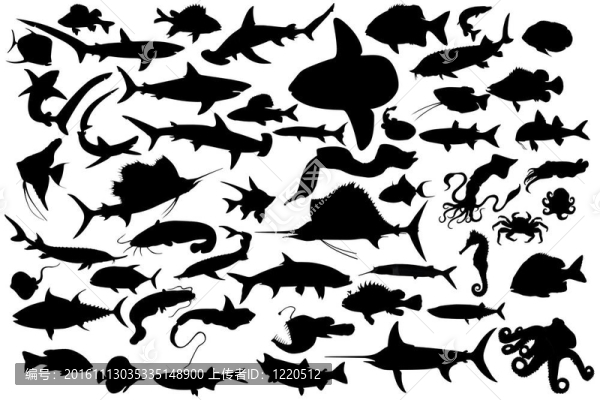 魚類收集