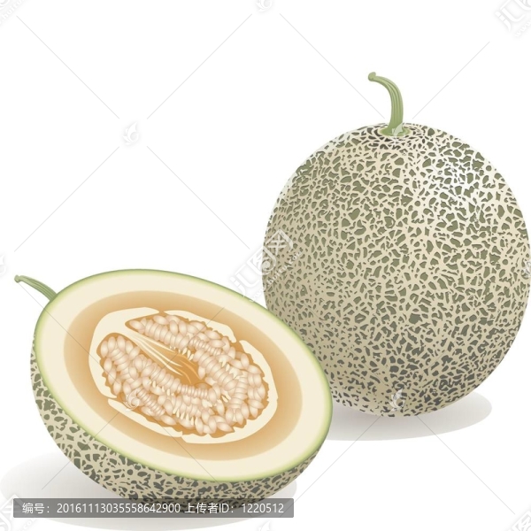 甜瓜果實(shí)