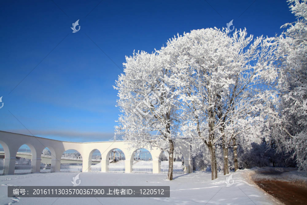 古城墻附近的樹