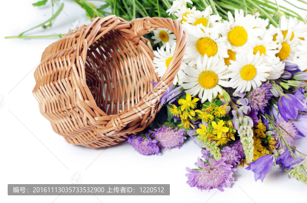 美麗的花朵在白色的籃子里