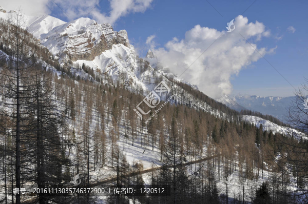 羅爾路和cimon,della,pala