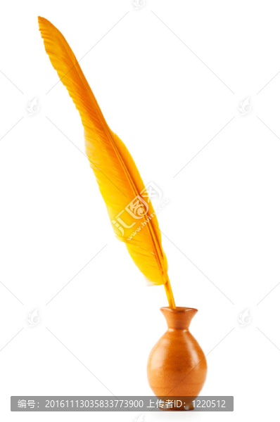 寫在白色背景上的羽毛
