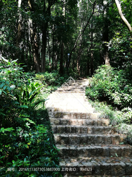 登山小道